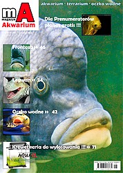 Magazyn Akwarium 95